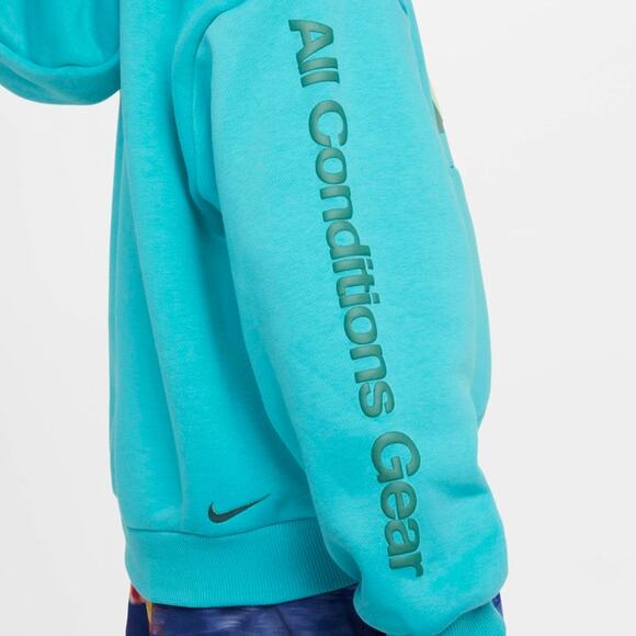 NWT Nike ACG Icon Fleece Older Kids' Pullover Hoodie Sweatshirt Teal | Unisex L - Picture 3 of 8